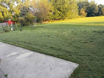Lawn Care service in Lebanon, 46052