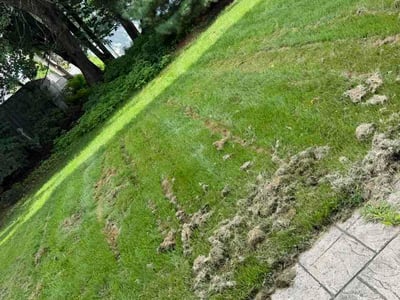 Lawn Care service in Marlton, 08053