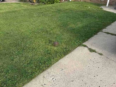 Lawn Care service in Bensalem, 19020