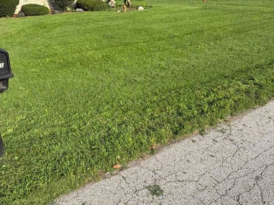 Lawn Care service in Aurora, 60506