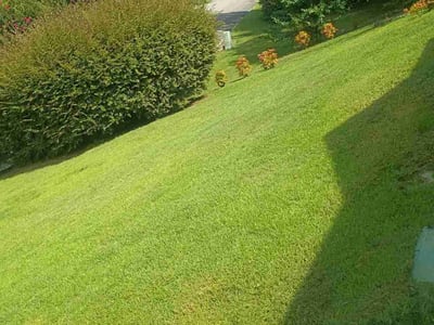Lawn Care service in Gardendale, 35071