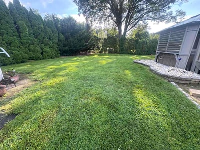 Lawn Care service in Princeton, 08542