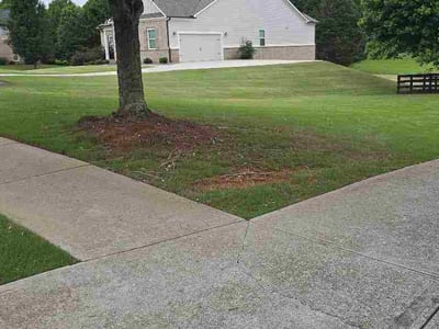 Lawn Care service in Monroe, 30655