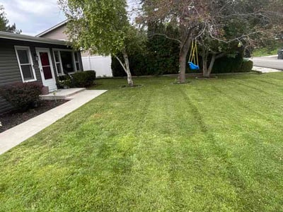 Lawn Care service in Fox Lake, 60020