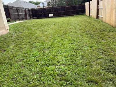 Lawn Care service in Laredo, 78040