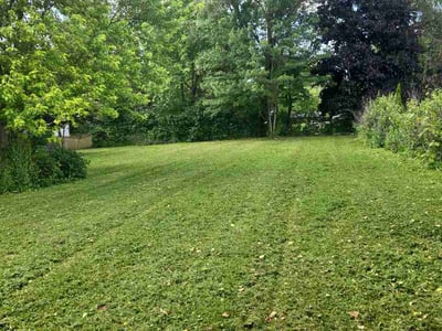 Lawn Care service in Fox Lake, 60020