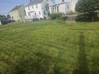 Lawn Care service in Depew, 14043