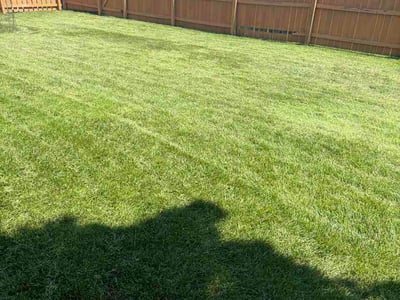 Lawn Care service in Cheektowanga, 14225