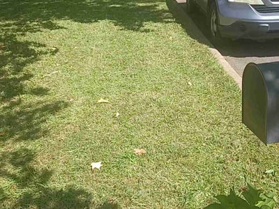 Lawn Care service in Roswell, 30075