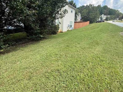 Lawn Care service in Rex, 30273
