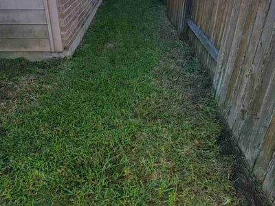 Lawn Care service in Stoughton, 02072