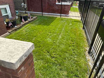 Lawn Care service in West Chicago, 60185