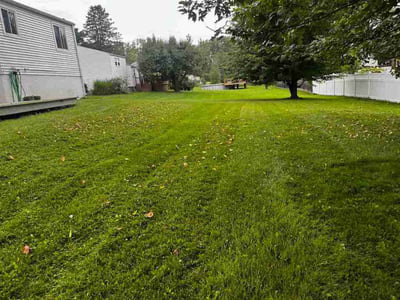 Lawn Care service in Henrietta, 14467