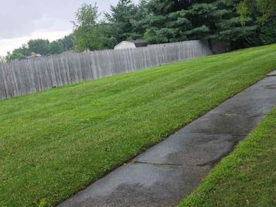 Lawn Care service in Henrietta, 14467