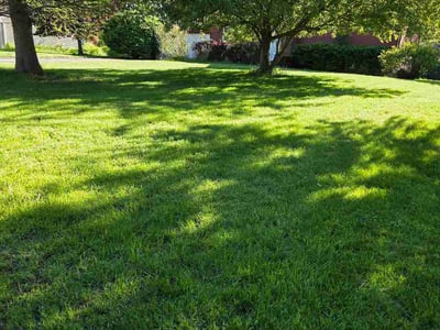 Lawn Care service in Henrietta, 14467