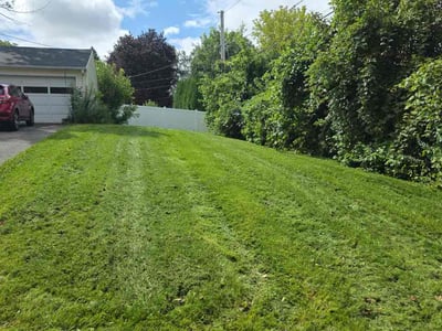 Lawn Care service in Henrietta, 14467