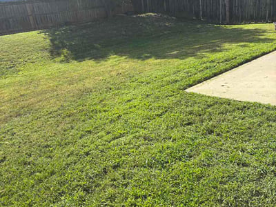 Lawn Care service in Ellenwood, 30294