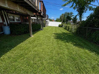Lawn Care service in Edgewater, 21037