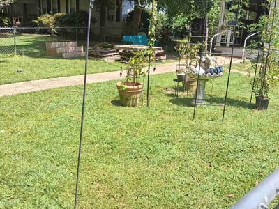 Lawn Care service in Leeds, 35094