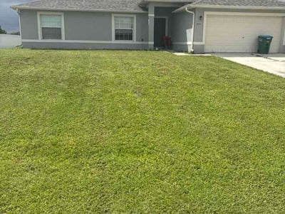 Lawn Care service in Waltham, 02452