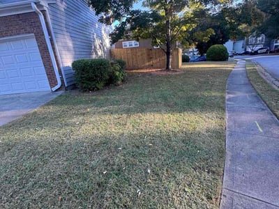 Lawn Care service in Waltham, 02452