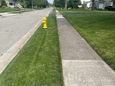 Lawn Care service in Upper Arlington, 43212