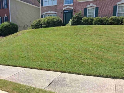 Lawn Care service in Suwanee, 30024