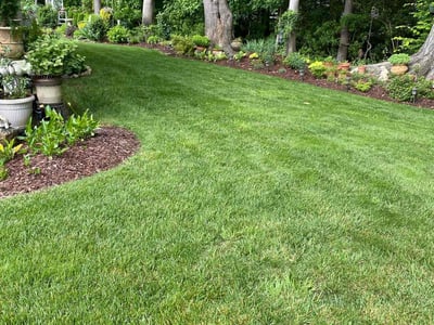 Lawn Care service in Hayes, 23072