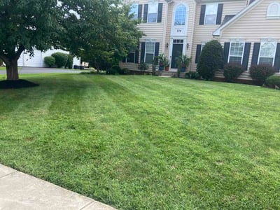 Lawn Care service in Enola, 17025
