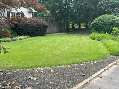 Lawn Care service in Decatur, 30030