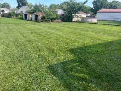 Lawn Care service in Aberdeen, 21001