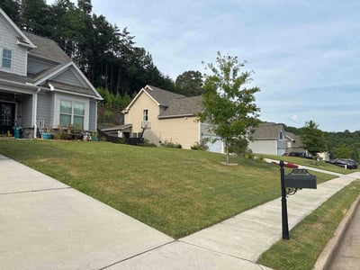 Lawn Care service in Canton, 30114