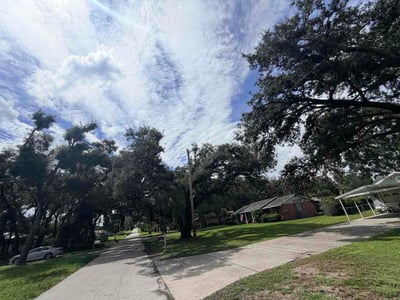 Lawn Care service in Zephyrhills, 33542