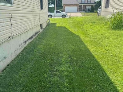 Lawn Care service in Hingham, 02043