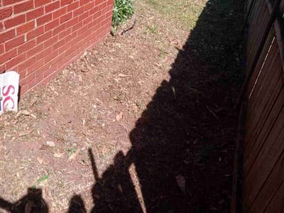 Lawn Care service in Hingham, 02043