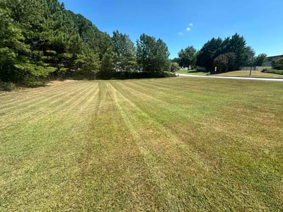 Lawn Care service in Loganville, 30052