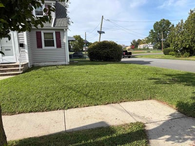 Lawn Care service in Westfield, 07090