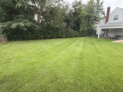 Lawn Care service in Bergenfield, 07621