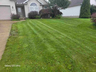 Lawn Care service in Cherry Hill, 16401