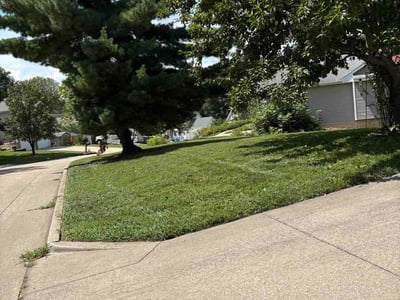 Lawn Care service in Columbia, 65201