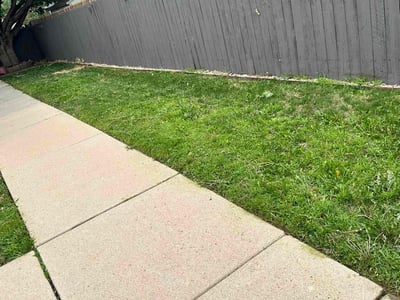 Lawn Care service in Braintree, 02184
