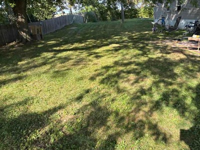 Lawn Care service in Traverse City, 49684