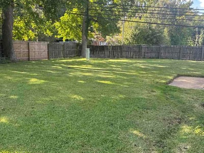 Lawn Care service in Toano, 23168