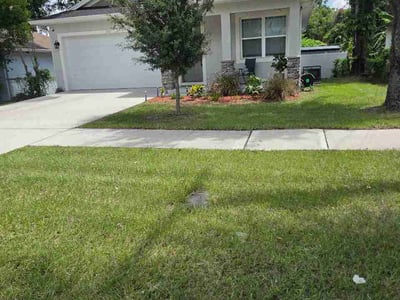 Lawn Care service in Pinellas Park, 33781