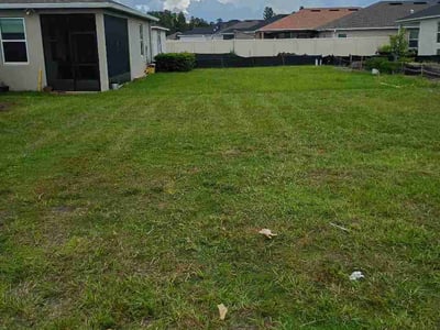 Lawn Care service in Pinellas Park, 33781