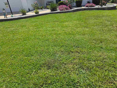 Lawn Care service in Homosassa, 34448