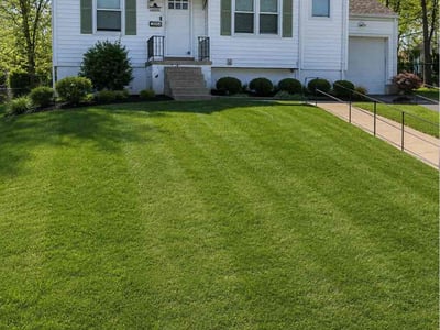 Lawn Care service in Festus, 63028