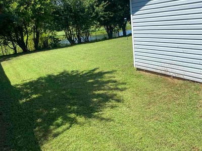 Lawn Care service in Opelika, 36801