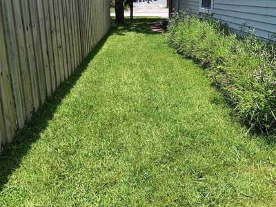 Lawn Care service in Tuckerton, 08087