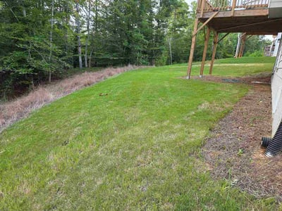 Lawn Care service in Flowery Branch, 30542